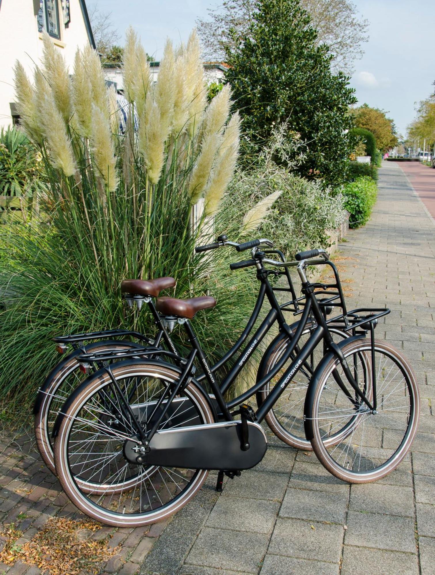 Appartement Beauvilliers Zandvoort Ngoại thất bức ảnh